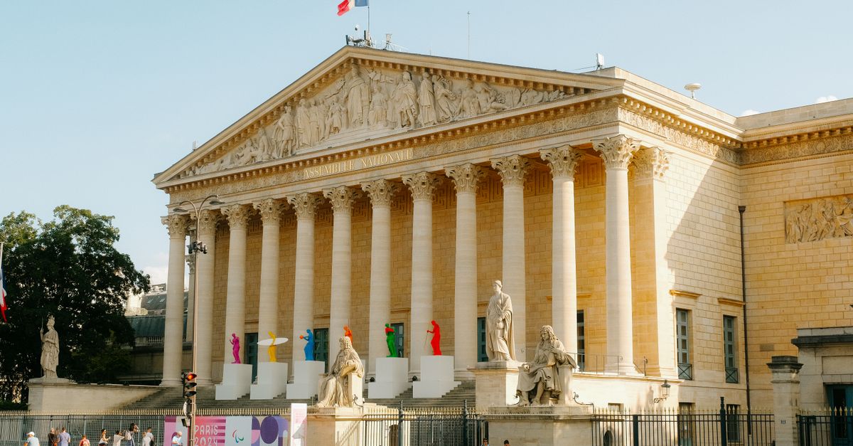Front view of the Palais Bourbon in Paris, featuring statues and French flag.